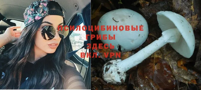 Галлюциногенные грибы мицелий  Чусовой 